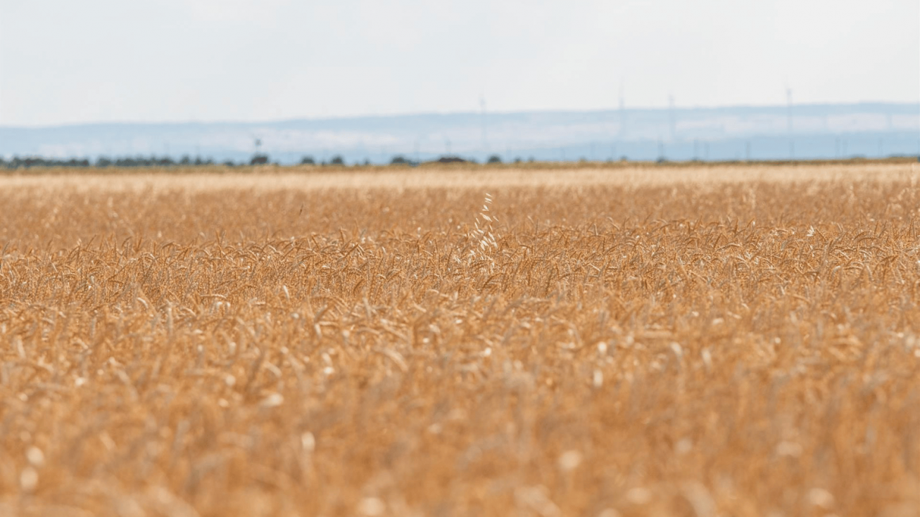 Más de 98.000 agricultores y ganaderos reciben el primer pago de ayudas por los daños de las borrascas