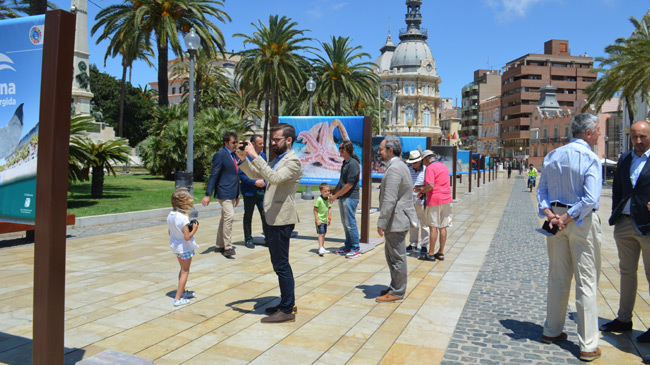 Exposici&oacute;n &lsquo;Cartagena naturaleza sumergida&rsquo;