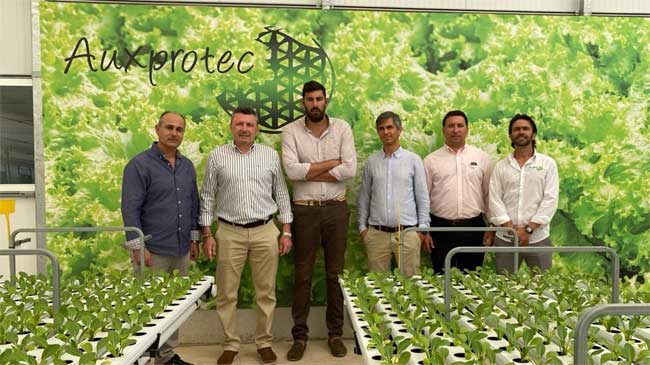 Dirigentes de Vox y de AuxProtec en la planta de Balsicas