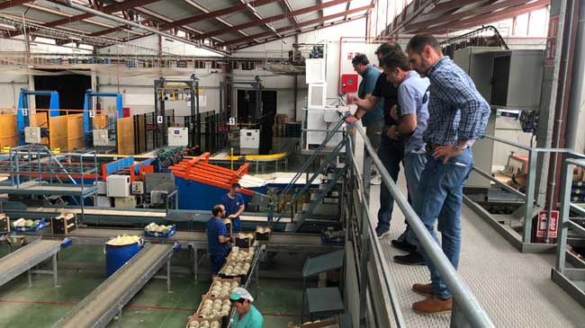 Importadores canadienses visitan una planta de manipulado de frutas