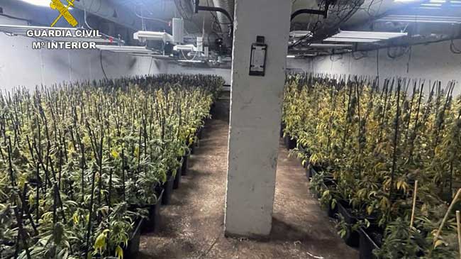 Imagen de uno de los b&uacute;nkeres con las plantas de marihuana
