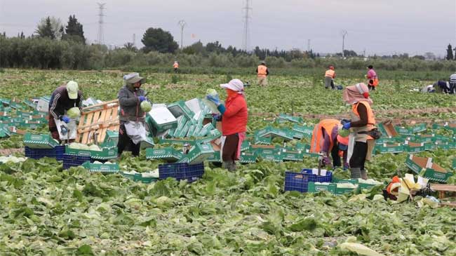 La agricultura regional ya empieza a pagar las consecuencias de la falta de agua