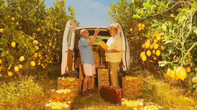 Imagen de la campa&ntilde;a de Limonar de Santomera