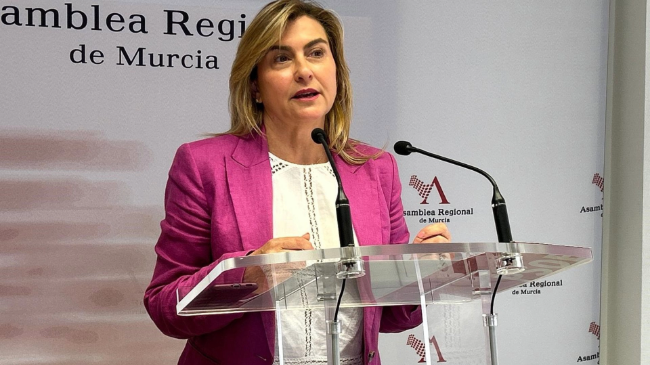 Carmina Fernández, portavoz del grupo parlamentario socialista. Carmina Fernández, portavoz del grupo parlamentario socialista.