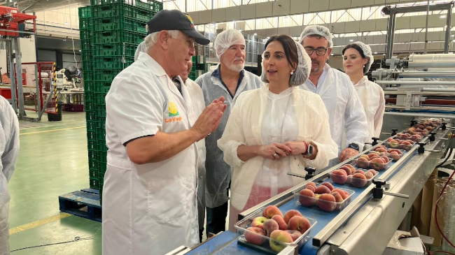 Imagen de la consejera en la cooperativa La Vega de Cieza donde se trabaja en la campaña de fruta de hueso. Imagen de la consejera en la cooperativa La Vega de Cieza donde se trabaja en la campaña de fruta de hueso.