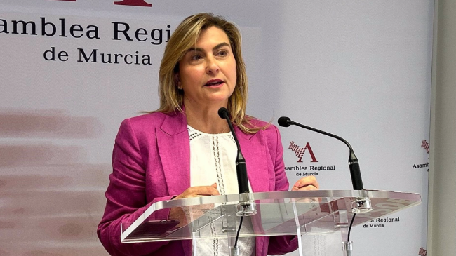 Carmina Fernández, portavoz del grupo parlamentario socialista en la Asamblea Regional. Carmina Fernández, portavoz del grupo parlamentario socialista en la Asamblea Regional.