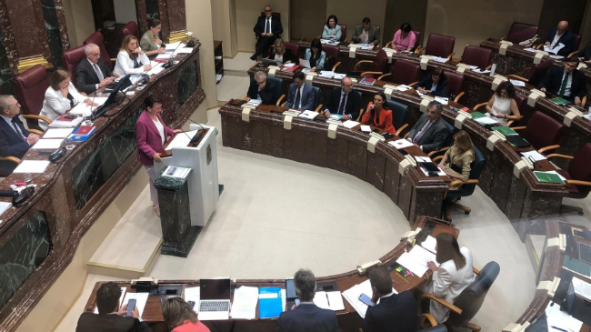 Mar&iacute;a Mar&iacute;n durante el debate sobre el Estado de la Regi&oacute;n.