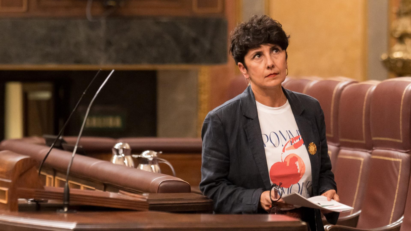 La portavoz del PNV en el Congreso, Maribel Vaquero, interviene durante una sesi&oacute;n plenaria en el Congreso de los Diputados.