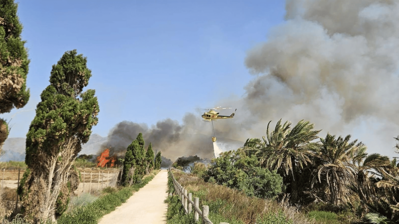 Imagen de las tareas de extinci&oacute;n del incendio de La Arboleja - UDIF