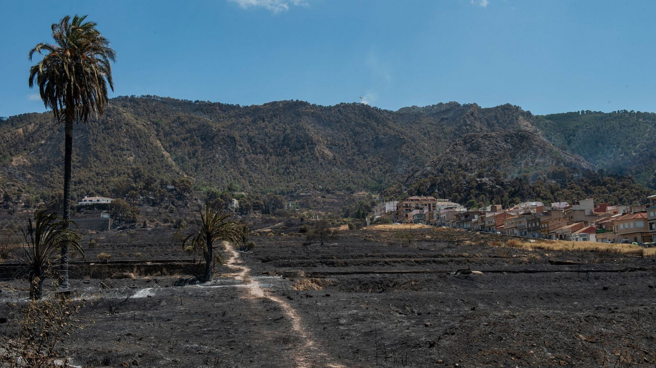Dos nuevos fuegos obligan a intervenir de nuevo en Los Garres