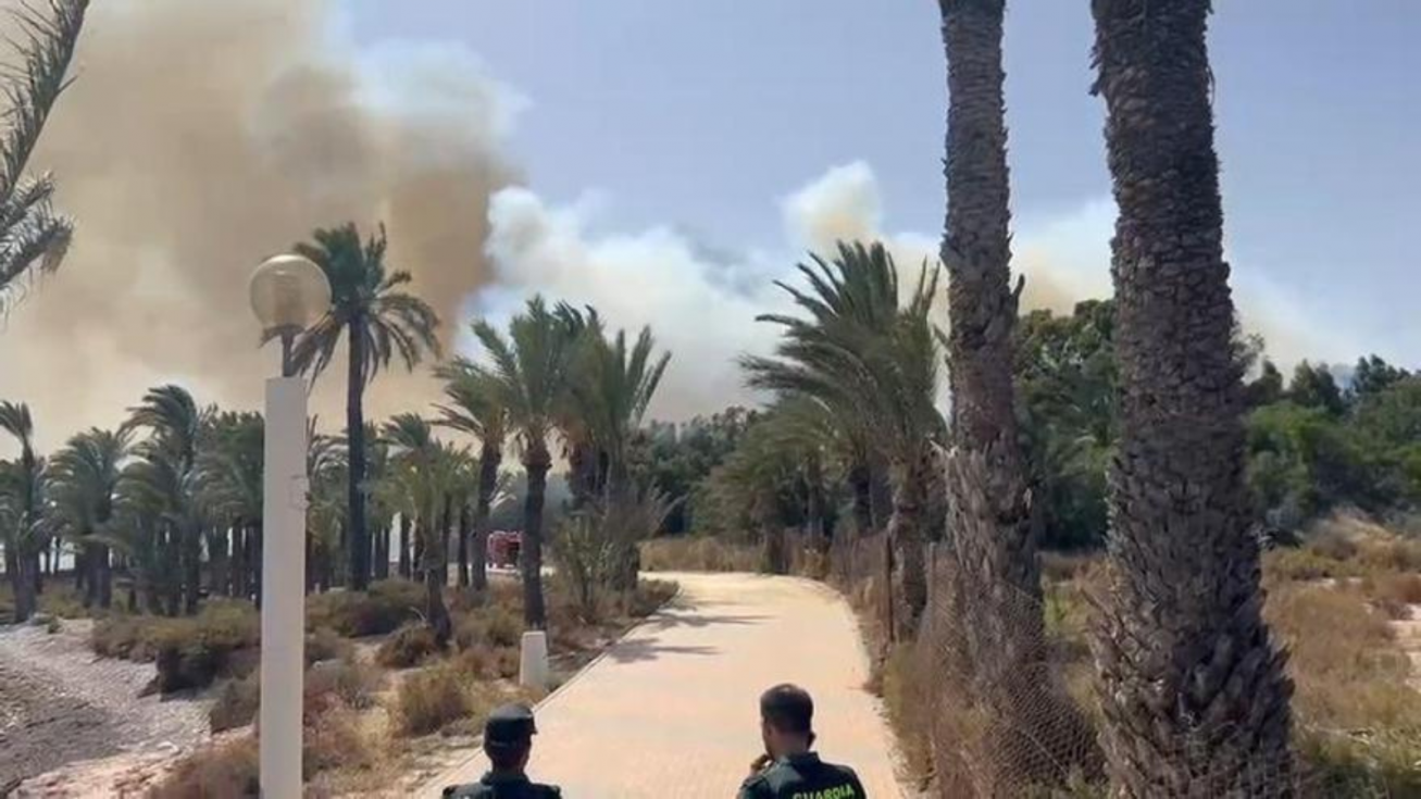 Un incendio forestal calcina parte del protegido Palmeral de San Ginés en La Azohía