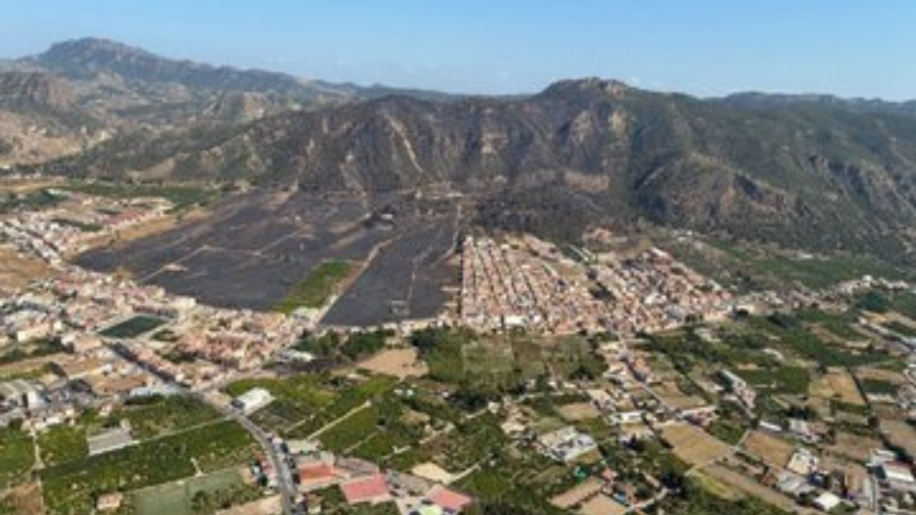 Estabilizado el incendio en Los Garres