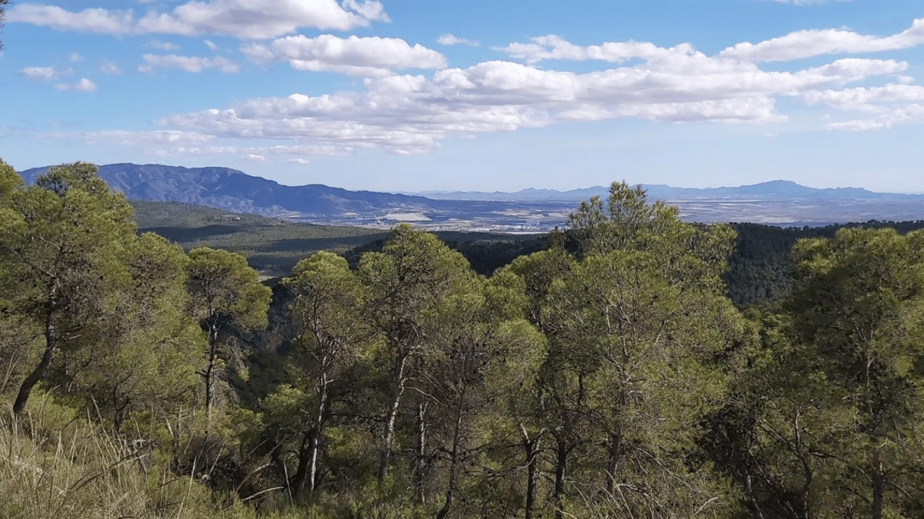 La modificación de los límites del Parque Regional de Sierra Espuña queda en manos del Tribunal Constitucional