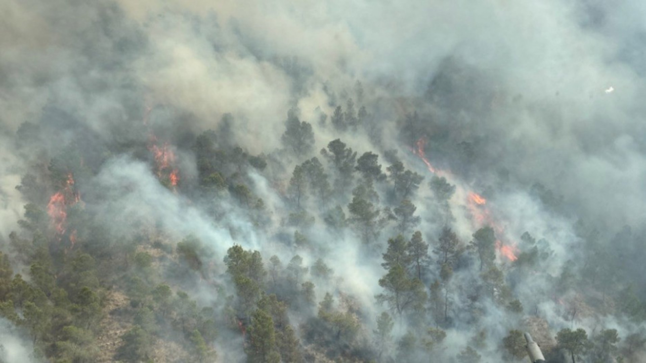Incendio en Los Garres. Incendio en Los Garres.