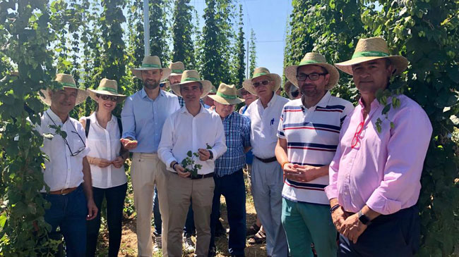 El consejero Del Amor en la plantaci&oacute;n de l&uacute;pulo