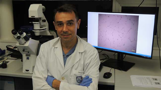 Juan Antonio Gim&eacute;nez Bastida, investigador principal del proyecto