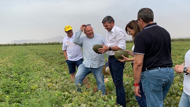 El consejero Antonio Luengo, durante su visita a una explotaci&oacute;n de melones de la firma &lsquo;El Monarca&rsquo;