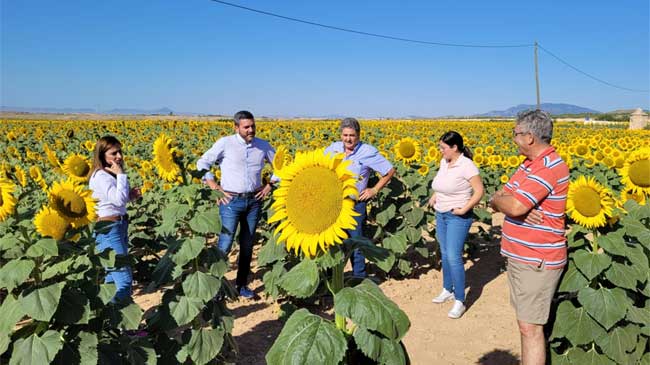 El consejero de Agricultura en una plantaci&oacute;n de girasol