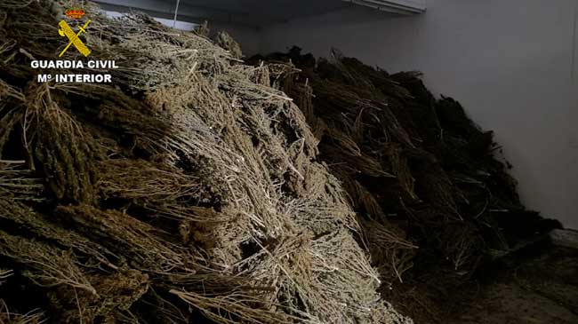 Montones de droga lista para ser empaquetada y distribuida