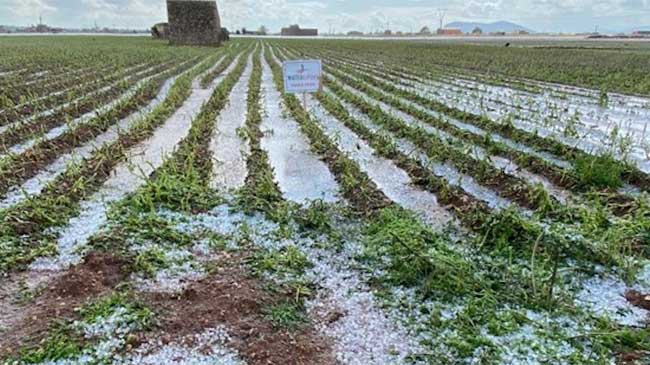 Campo anegado por agua y pedrisco Campo anegado por agua y pedrisco