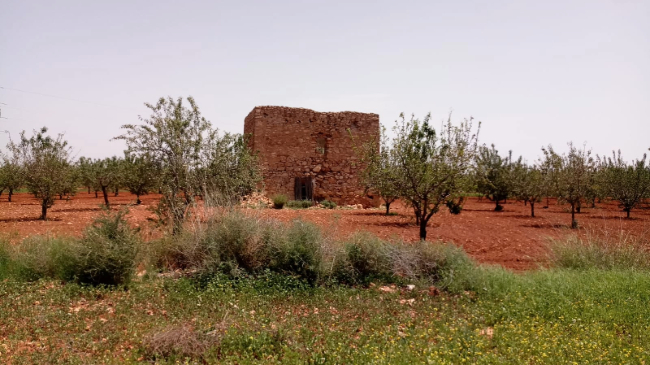Una vista de la Torre del Moro y su entorno