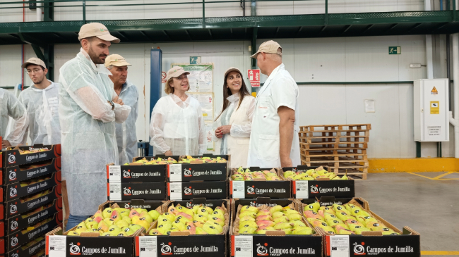 La consejera Sara Rubira en la cooperativa Campos de Jumilla donde preparan pera de la DOP Pera de Jumilla