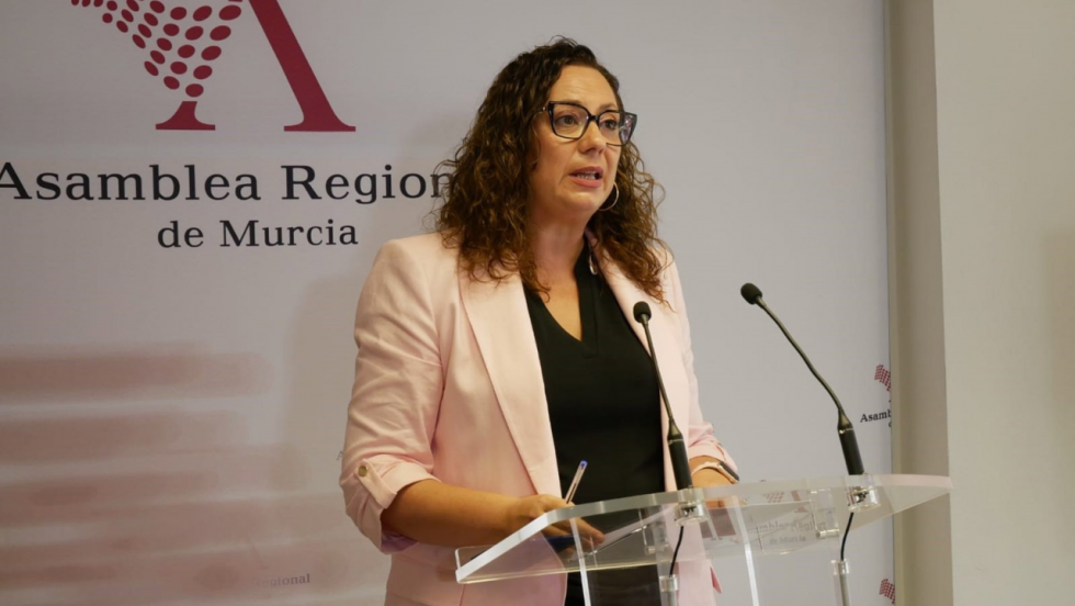La diputada regional del PP, M&ordf;. &Aacute;ngeles Rom&aacute;n - PP