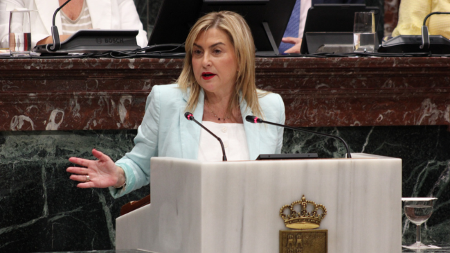 Portavoz del Grupo Parlamentario Socialista en la Asamblea Regional de Murcia. | Foto: PSOE RM