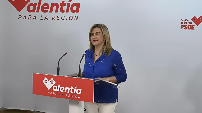 La portavoz del Grupo Parlamentario Socialista en la Asamblea, Carmina Fernández (EUROPA PRESS). La portavoz del Grupo Parlamentario Socialista en la Asamblea, Carmina Fernández (EUROPA PRESS).
