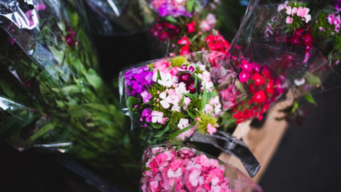 Imagen de archivo - Unsplash Imagen de archivo - Unsplash