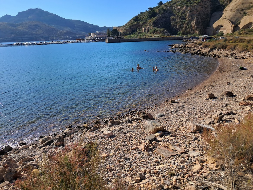 [Img #116144]