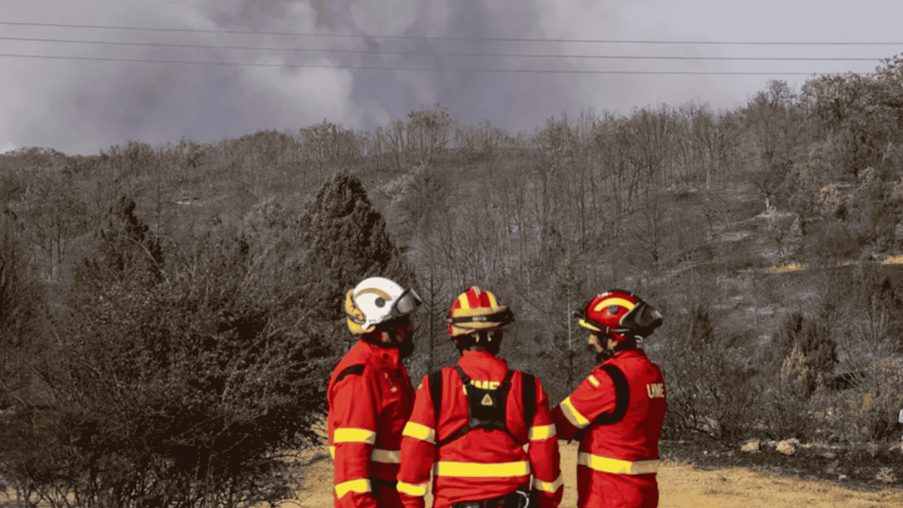 Efectivos de la UME en incendio forestal declarado en Selas (Guadalajara) - EFE - Nacho Izquierdo