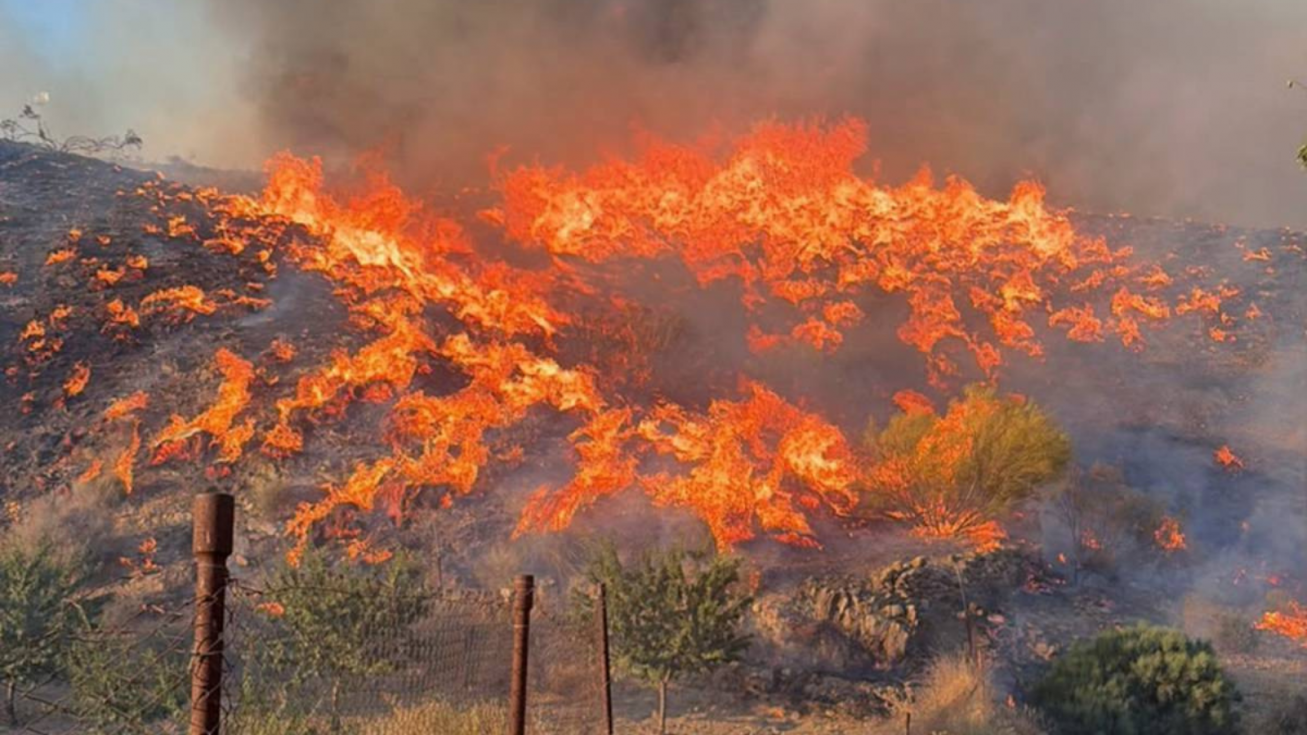 Incendio de Los Gallardos.