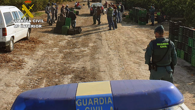 Agentes de la Guardia Civil vigilan las explotaciones Agentes de la Guardia Civil vigilan las explotaciones