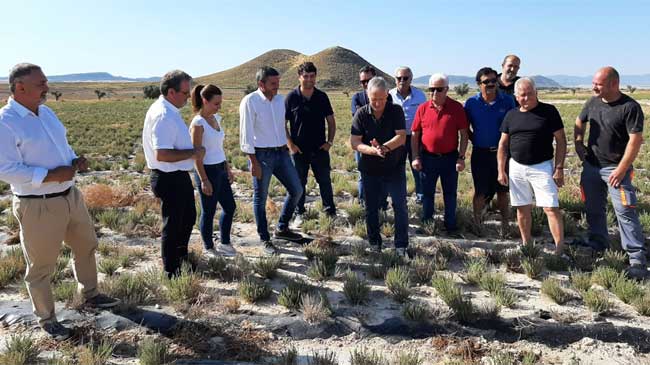 El consejero Antonio Luengo durante la visita a un cultivo de plantas arom&aacute;ticas en Lorca