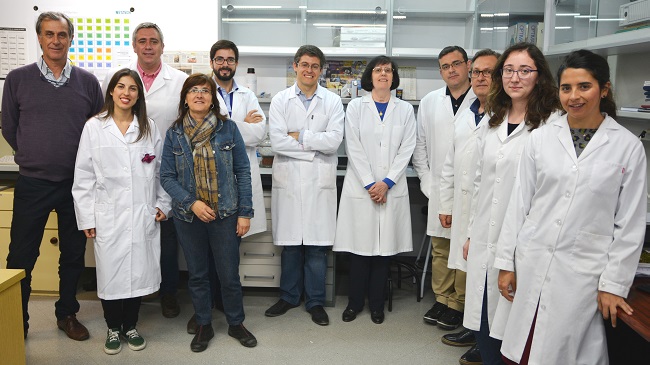 Grupo de investigaci&oacute;n en nuevos materiales al que pertenece Francisco Jos&eacute; Carri&oacute;n, responsable del proyecto que ha conseguido mayor financiaci&oacute;n