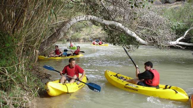 Ruta en kayak por el r&iacute;o Segura