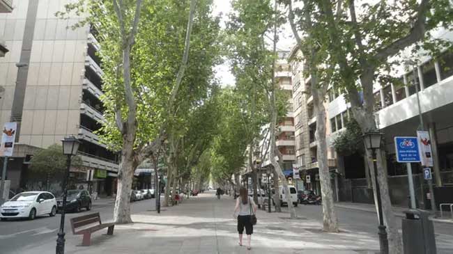 Paseo Alfonso X, en Murcia