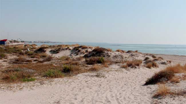 Dunas junto a la playa de El Moj&oacute;n, en San Pedro del Pinatar