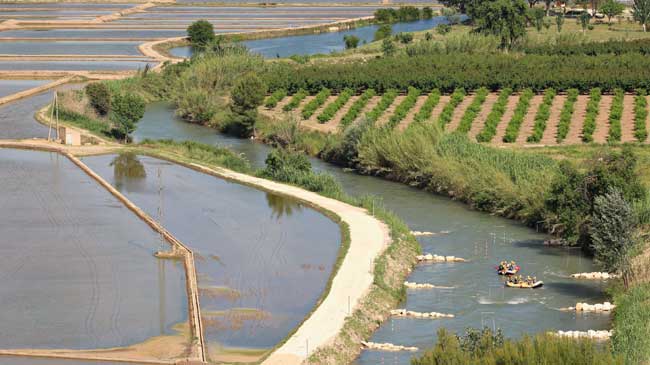 Rafting y degustaci&oacute;n de arroz en Calasparra es una de las gastroexperiencias