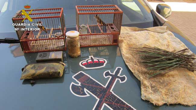 Material y dos aves incautado al furtivo