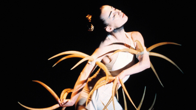 La 'Compagnie Marie Chouinard' protagoniza el apartado de danza este s&aacute;bado en el Festival Internacional de San Javier. | Foto: AYUNTAMIENTO SAN JAVIER
