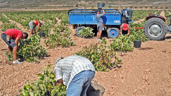 Imagen: El Eco de Jumilla