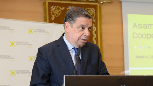 Luis Planas, ministro de Agricultura