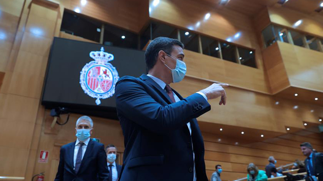 El presidente del Gobierno, Pedro S&aacute;nchez, llega al Senado. EFE/ Juanjo Mart&iacute;n/Archivo