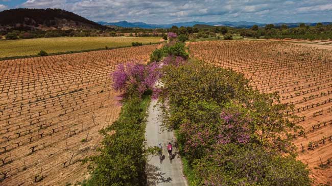 Las v&iacute;as verdes, recorridos para ciclistas y senderistas a pie