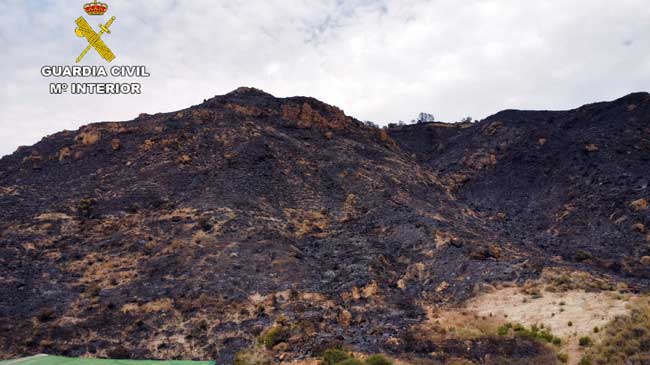 Monte quemado por el incendio en Mazarr&oacute;n