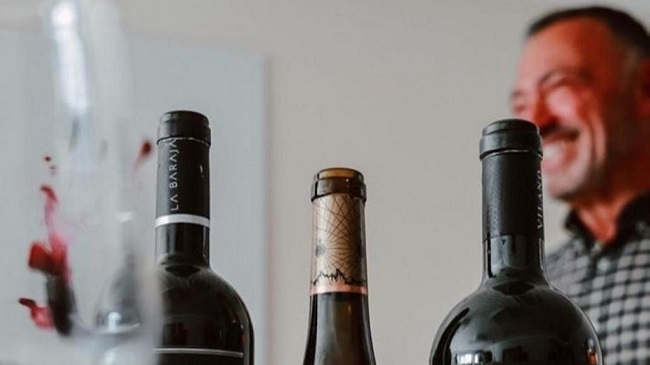 Desi Sastre,&nbsp;director general de Bodegas Vilano