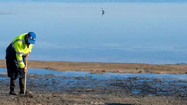 Retirada de fangos del Mar Menor
