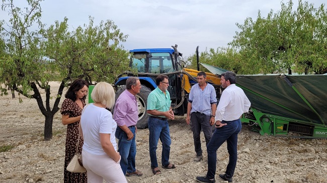 Visita a una finca de almendros en el municipio de Bullas con ocasi&oacute;n de la cosecha de almendra